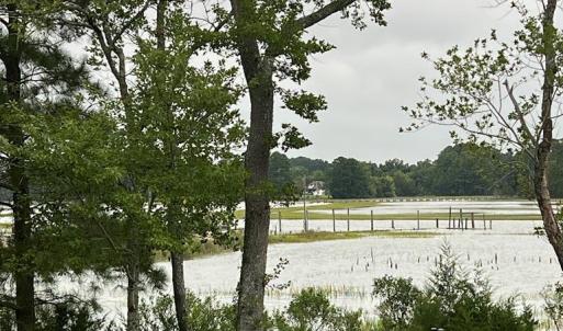 Photo #8 of 25267 SEASIDE CT, ACCOMAC, VA 4.4 acres