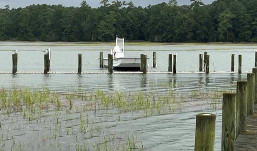 Photo #13 of 25267 SEASIDE CT, ACCOMAC, VA 4.4 acres