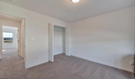 Photo #19 of 3122 NAVIGATOR DR, GREENBACKVILLE, VA 12.0 acres