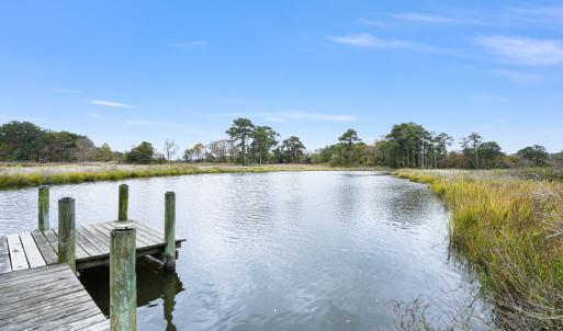 Go fishing from your back yard