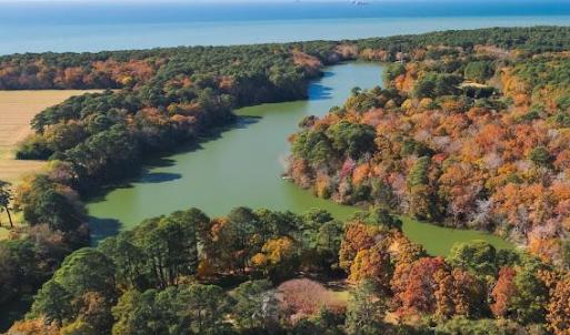 Photo #46 of 2483 POND DRAIN DR, CAPE CHARLES, VA 3.0 acres