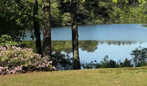 Peaceful setting