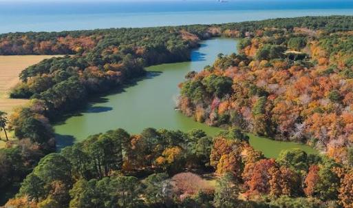 Photo #49 of 2483 POND DRAIN DR, CAPE CHARLES, VA 3.0 acres