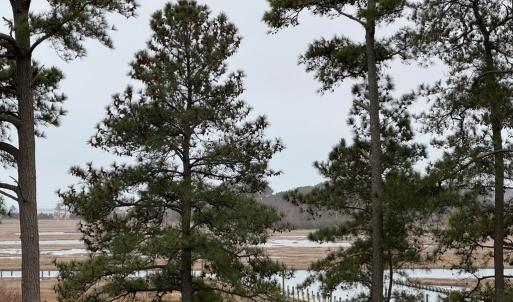 Photo #10 of 6099 PERIWINKLE DR, HORNTOWN, VA 0.2 acres