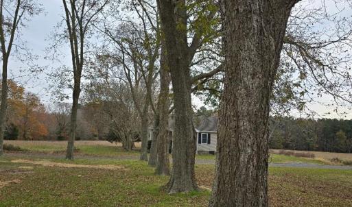 Photo #15 of 12078 TAYLOR ST, HALLWOOD, VA 0.3 acres