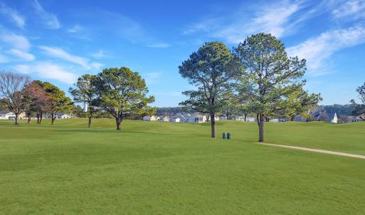 Photo #32 of 3349 NAVIGATOR DR, GREENBACKVILLE, VA 0.3 acres