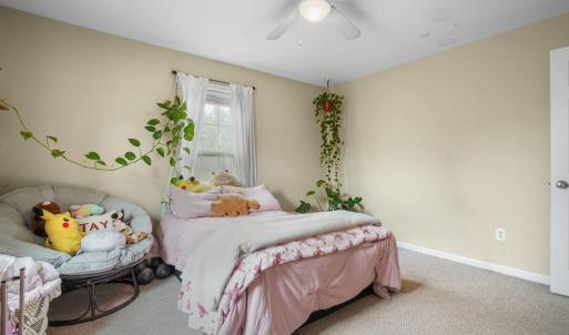 Photo #36 of 25326 MARYLAND AVE, ONLEY, VA 14.0 acres