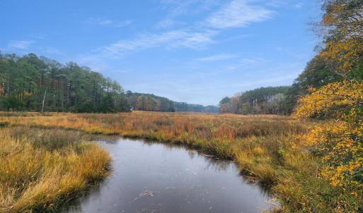 Photo #13 of 26355 MOUNT NEBO RD, ONANCOCK, VA 106.4 acres
