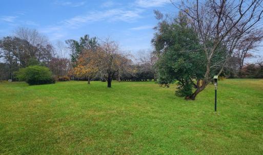 Photo #16 of 26355 MOUNT NEBO RD, ONANCOCK, VA 106.4 acres