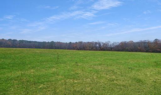 Photo #54 of 26355 MOUNT NEBO RD, ONANCOCK, VA 106.4 acres