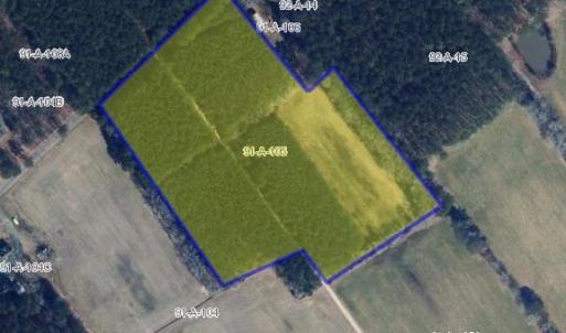 Photo #6 of 26355 MOUNT NEBO RD, ONANCOCK, VA 106.4 acres