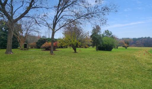 Photo #15 of 26355 MOUNT NEBO RD, ONANCOCK, VA 106.4 acres