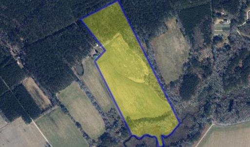 Photo #5 of 26355 MOUNT NEBO RD, ONANCOCK, VA 106.4 acres