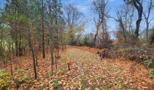 Photo #53 of 26355 MOUNT NEBO RD, ONANCOCK, VA 106.4 acres