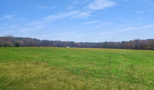 Photo #49 of 26355 MOUNT NEBO RD, ONANCOCK, VA 106.4 acres