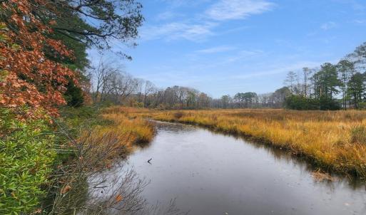 Photo #10 of 26355 MOUNT NEBO RD, ONANCOCK, VA 106.4 acres