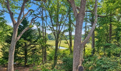 Photo #8 of 26355 MOUNT NEBO RD, ONANCOCK, VA 106.4 acres