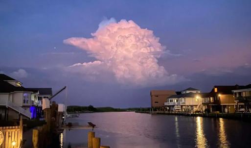 Photo #75 of 38002 SAILORS, GREENBACKVILLE, VA 9,000.0 acres