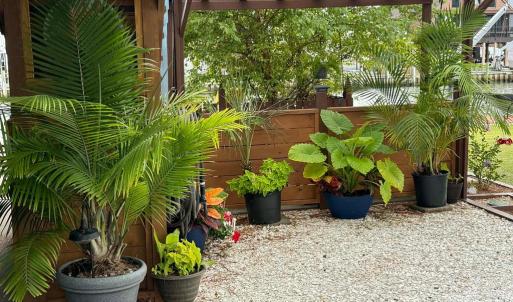 Photo #70 of 38002 SAILORS, GREENBACKVILLE, VA 9,000.0 acres