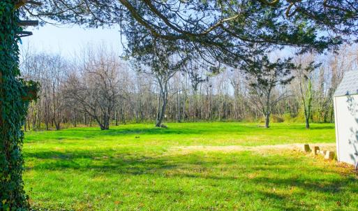 Photo #50 of 30172 SAXIS RD, TEMPERANCEVILLE, VA 1.3 acres