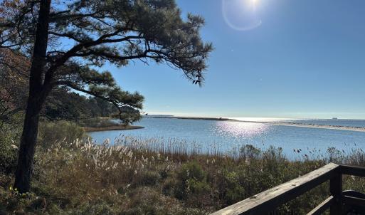 Photo #40 of 11576 HERON DR, MACHIPONGO, VA 0.7 acres