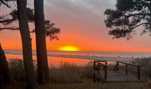 Photo #35 of 11576 HERON DR, MACHIPONGO, VA 0.7 acres