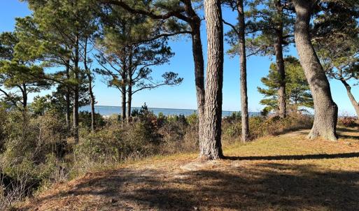 Photo #45 of 11576 HERON DR, MACHIPONGO, VA 0.7 acres