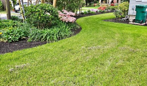 Photo #38 of 20 AMES ST, ONANCOCK, VA 0.3 acres