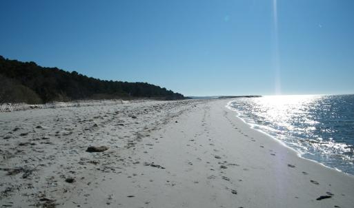 Photo #30 of 3202 BLACK DRUM LN, MACHIPONGO, VA 0.8 acres