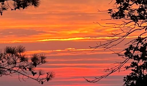 Photo #47 of 3202 BLACK DRUM LN, MACHIPONGO, VA 0.8 acres