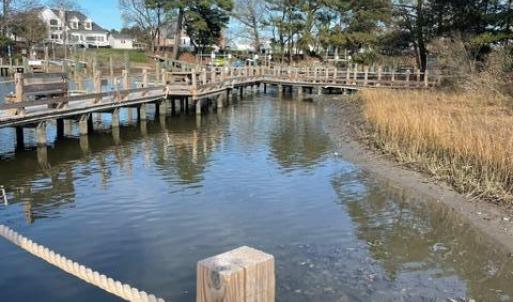 Photo #9 of 22373 PLUM TREE RD, CAPE CHARLES, VA 0.5 acres