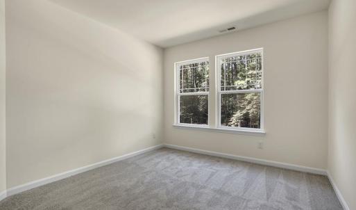 Photo #50 of 108 MAIN SAIL CT, GREENBACKVILLE, VA 70.0 acres