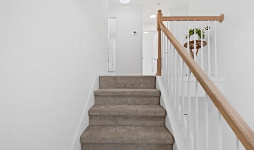 Photo #16 of 5456 JAN HALL RD., EASTVILLE, VA 1.5 acres