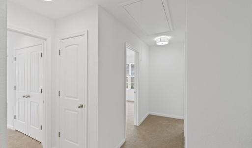 Photo #19 of 5456 JAN HALL RD., EASTVILLE, VA 1.5 acres