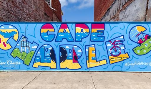 Photo #48 of 506 TAZEWELL AVE, CAPE CHARLES, VA 40.0 acres