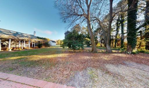 Photo #42 of 17541 PLANTATION RD, ONANCOCK, VA 45.1 acres