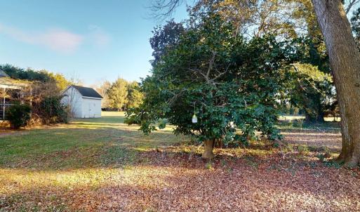 Photo #48 of 17541 PLANTATION RD, ONANCOCK, VA 45.1 acres