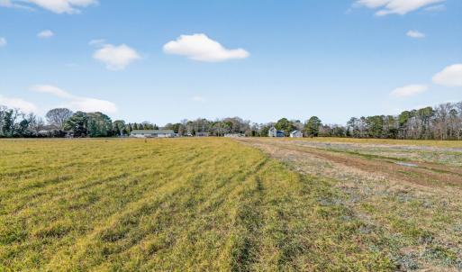 Photo #48 of 8005 HICKMAN FARM RD, WALLOPS ISLAND, VA 36.0 acres