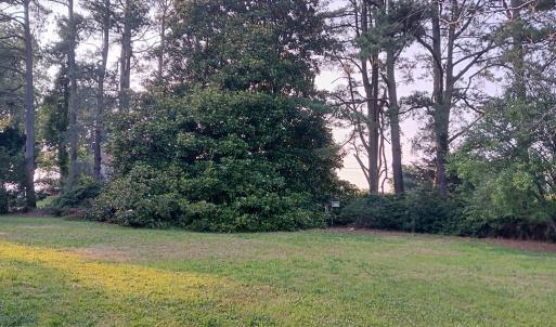 Photo #65 of 34079 SEASIDE RD, PAINTER, VA 2.5 acres