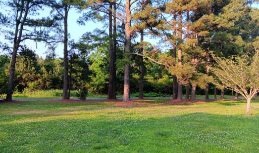 Photo #66 of 34079 SEASIDE RD, PAINTER, VA 2.5 acres