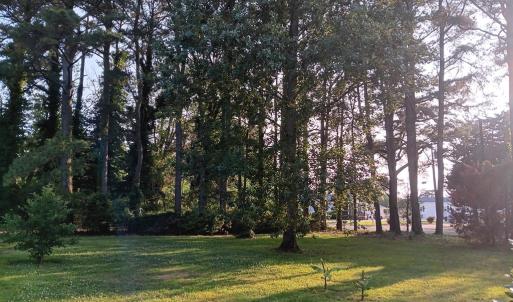 Photo #73 of 34079 SEASIDE RD, PAINTER, VA 2.5 acres