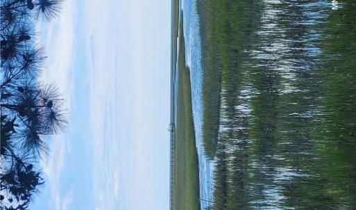 Photo #15 of 7472 SEASIDE RD, EASTVILLE, VA 25.1 acres