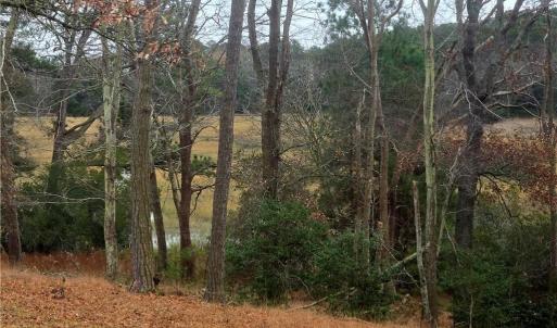 Photo #16 of 7472 SEASIDE RD, EASTVILLE, VA 25.1 acres