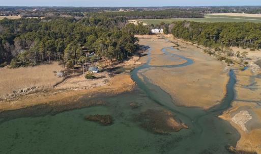 Photo #33 of 5445 MILFORD RD, CAPE CHARLES, VA 5.4 acres