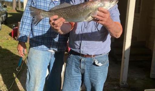 Photo #36 of 5445 MILFORD RD, CAPE CHARLES, VA 5.4 acres