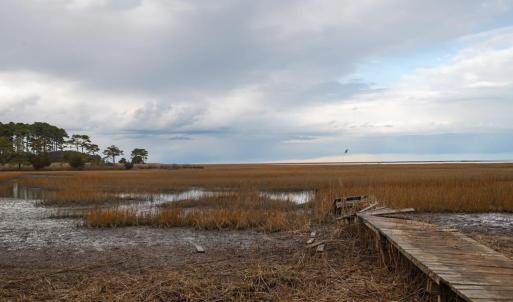 Photo #88 of 5445 MILFORD RD, CAPE CHARLES, VA 5.4 acres