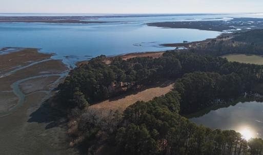 Photo #94 of 5445 MILFORD RD, CAPE CHARLES, VA 5.4 acres
