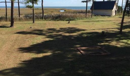 Photo #98 of 5445 MILFORD RD, CAPE CHARLES, VA 5.4 acres