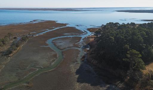 Photo #22 of 5445 MILFORD RD, CAPE CHARLES, VA 5.4 acres