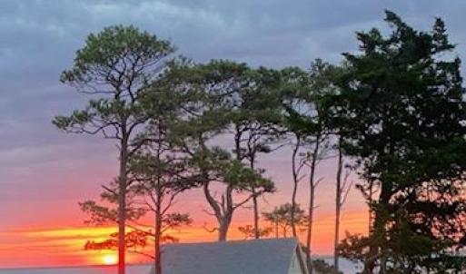 Photo #4 of 5445 MILFORD RD, CAPE CHARLES, VA 5.4 acres